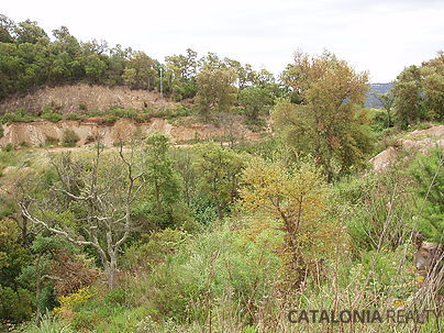 Urban plot for sale in Lloret de Mar (Costa Brava), Spain